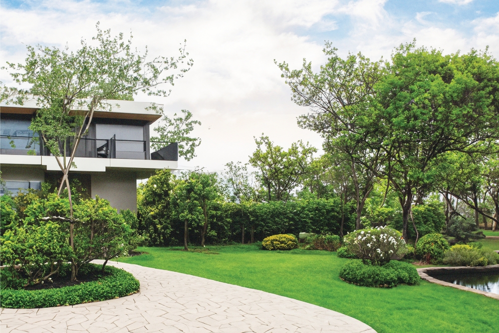 Landscape Design Ideas for Winter