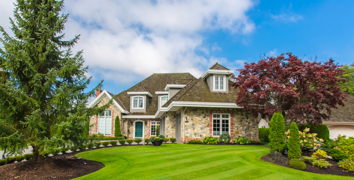 Front House Landscape Design