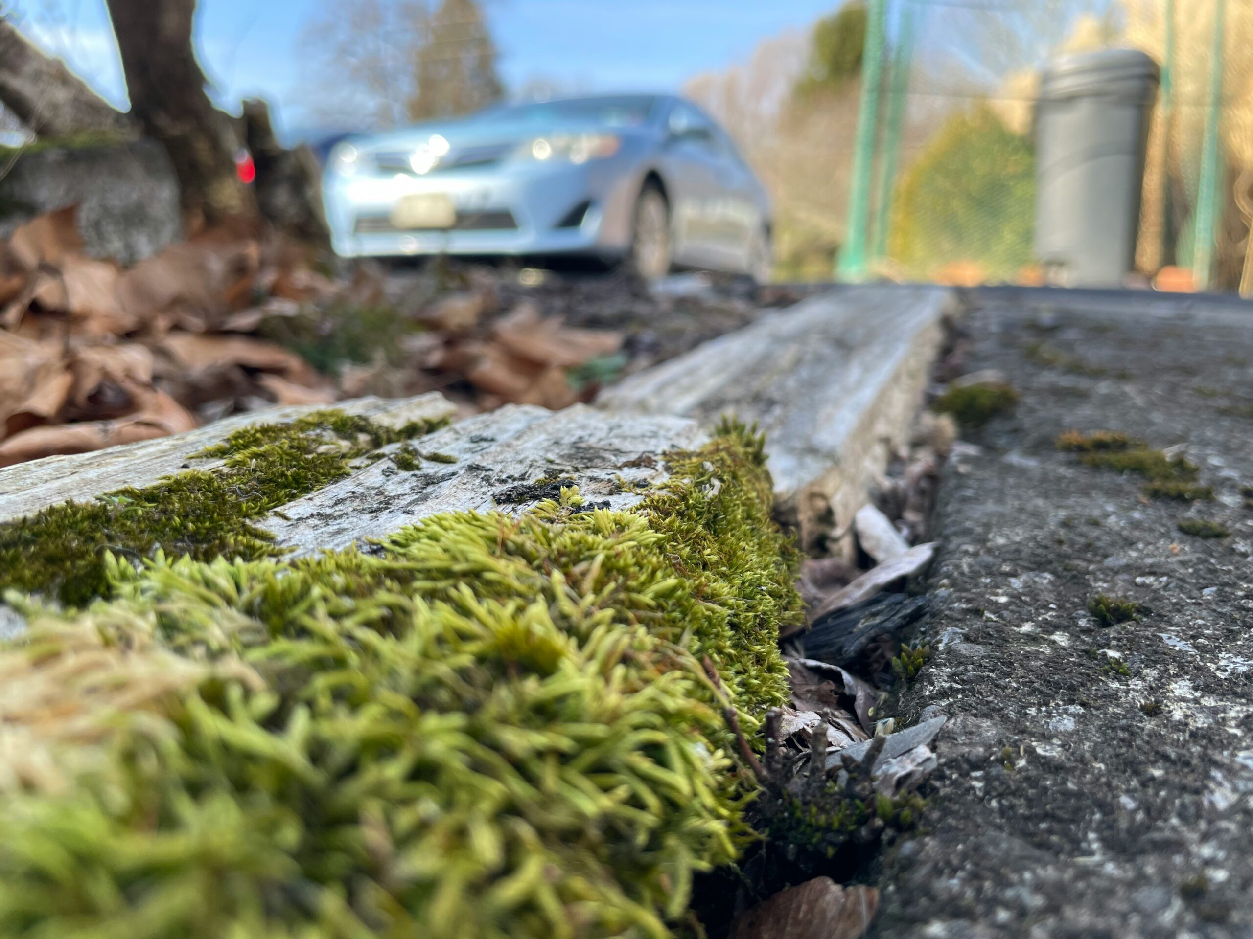 lawn maintenance Anchorage AK - Alaskan Landworks