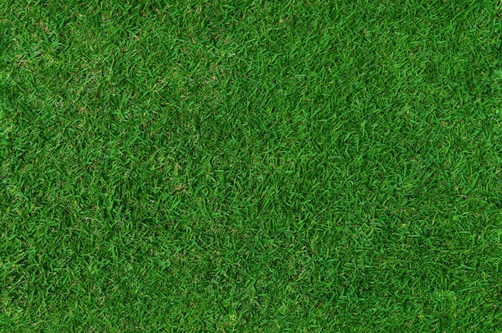 lawn services Anchorage - Alaska Landworks