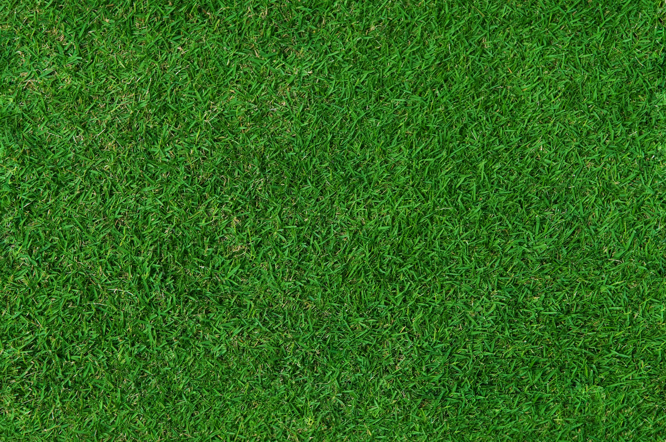 lawn services Anchorage - Alaska Landworks