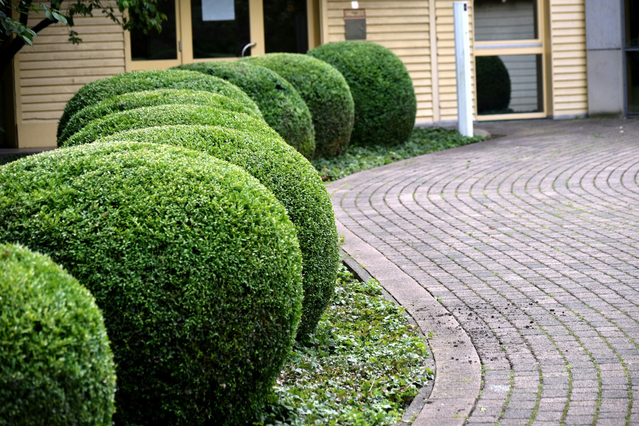 Anchorage Lawn Care - Lawn Maintenance Anchorage AK - Alaska Landworks