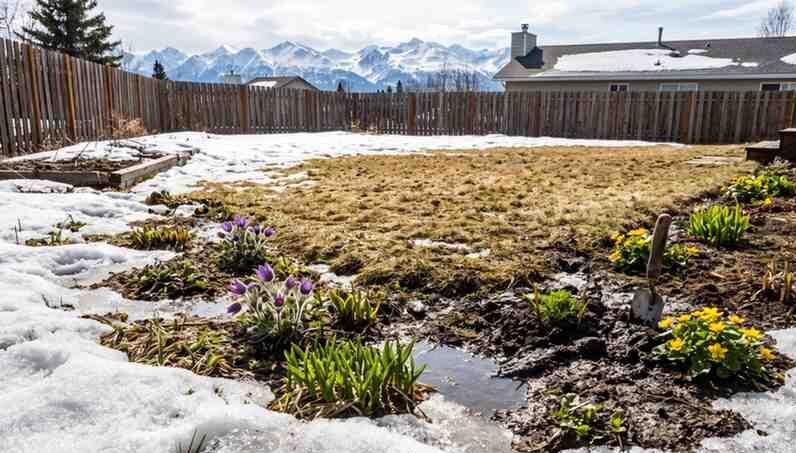 Spring Landscaping in Anchorage